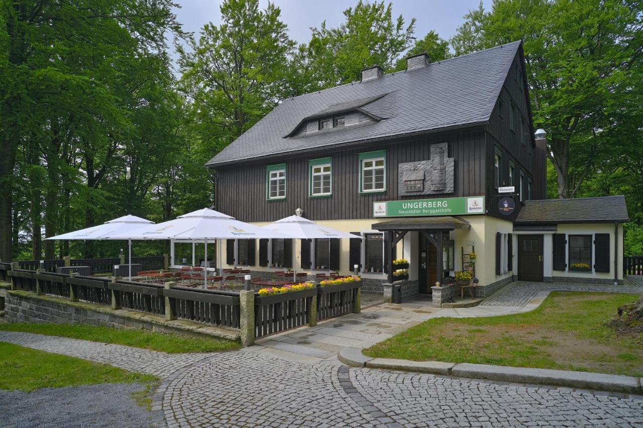 Gasthof Ungerberg Нойштадт-ин-Захзен Экстерьер фото