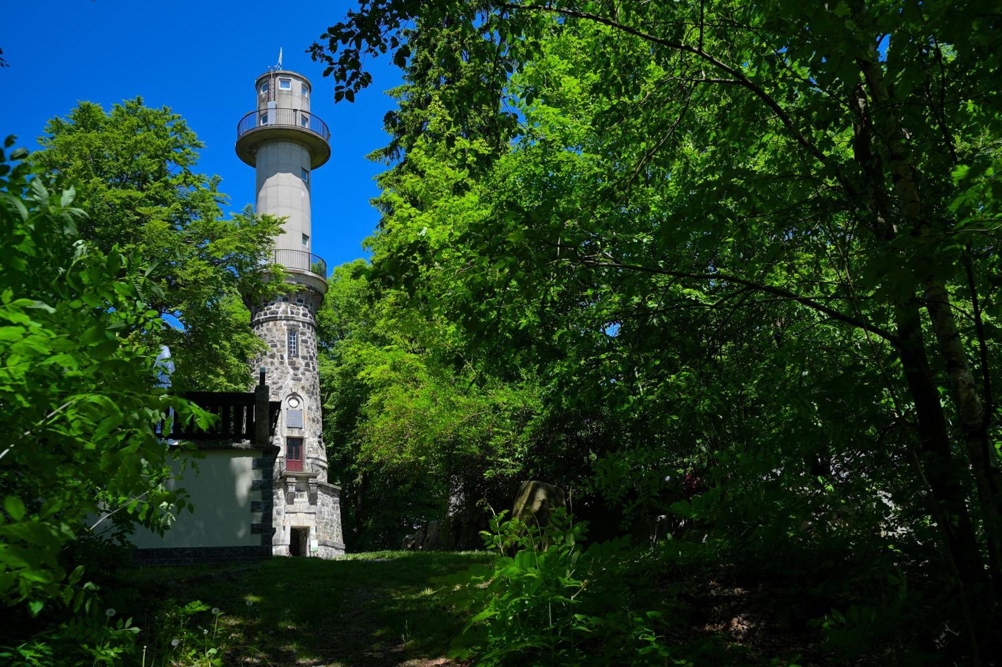 Gasthof Ungerberg Нойштадт-ин-Захзен Экстерьер фото