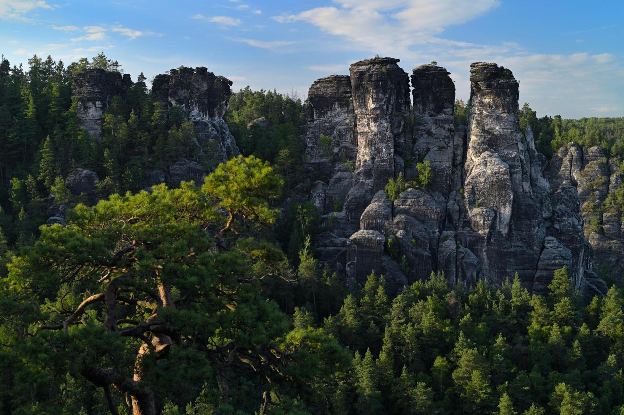 Gasthof Ungerberg Нойштадт-ин-Захзен Экстерьер фото